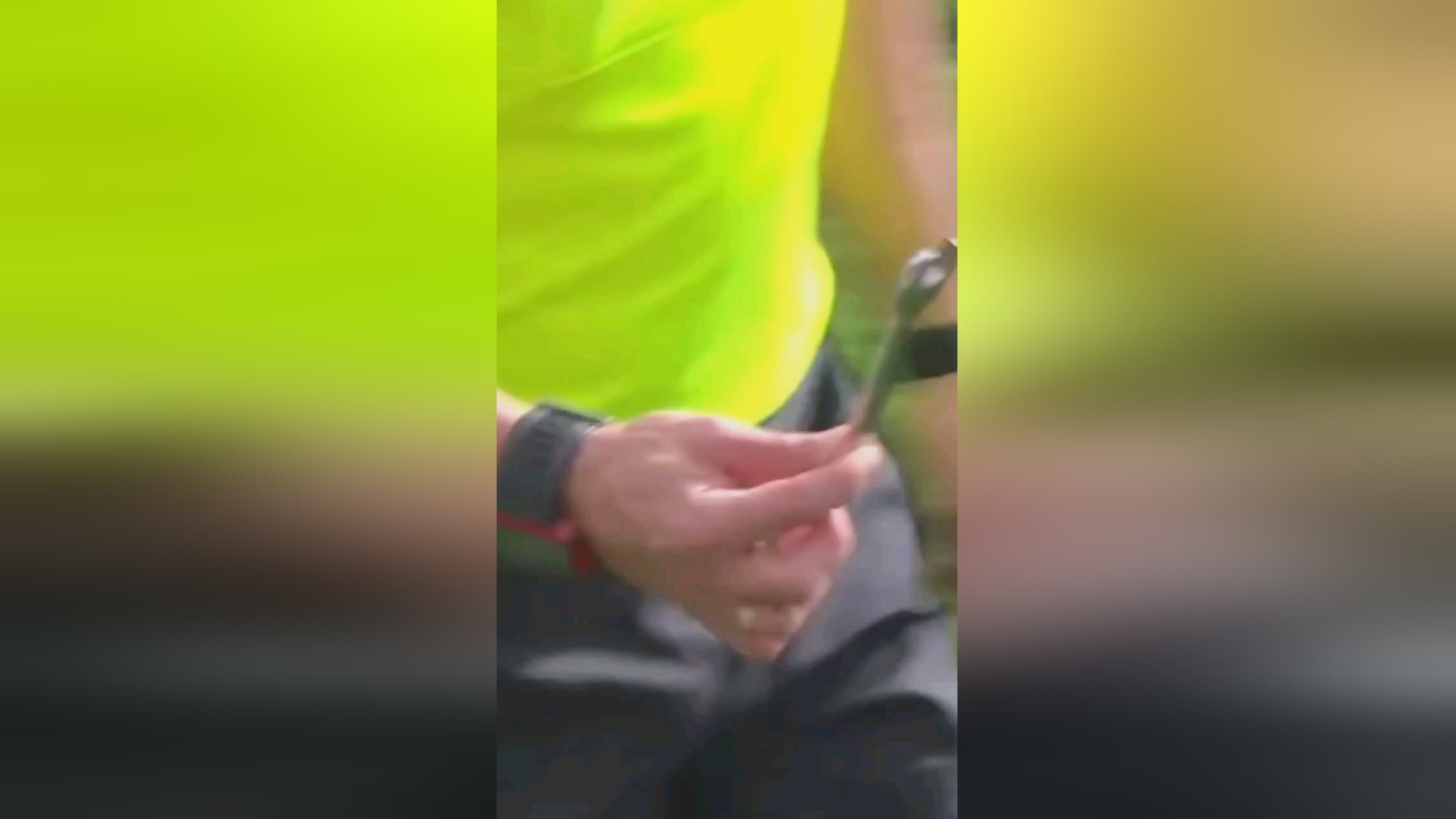 的一